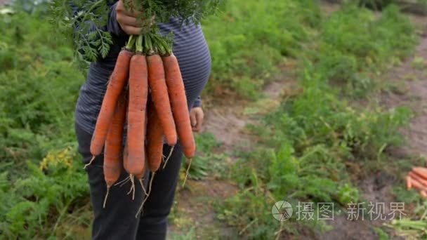 孕妇与胡萝卜一束视频
