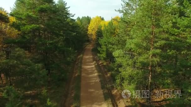 秋天的树林，在农村的航拍视频