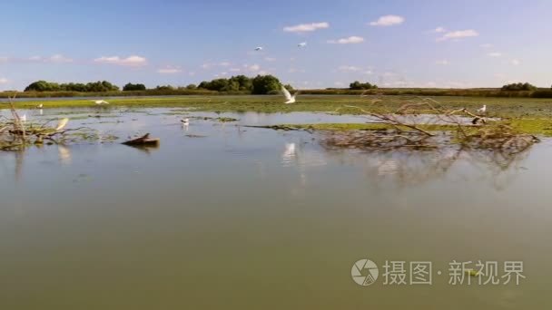 多瑙河三角洲湿地的议案