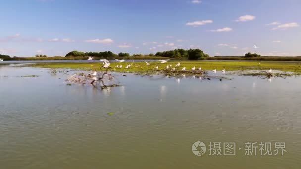 多瑙河三角洲湿地的议案视频