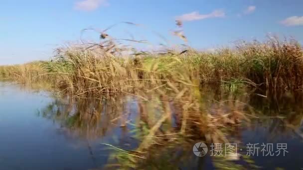 多瑙河三角洲湿地的议案视频