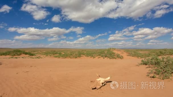 在森林里慢动作走路年轻妈妈带着婴儿车。