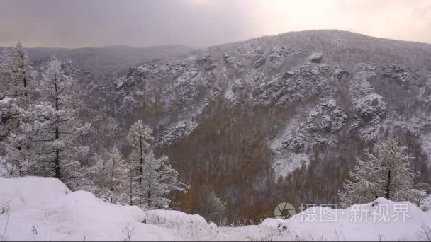 山区的霜雪树圣诞景观视频