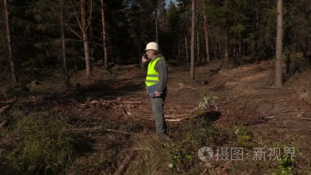 伐木工人在森林空地视频
