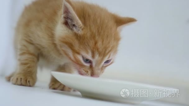 姜小猫视频从飞碟喝牛奶视频