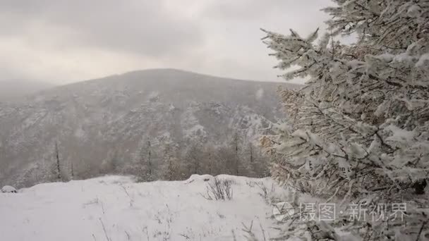 女人走在新的一年雪林视频