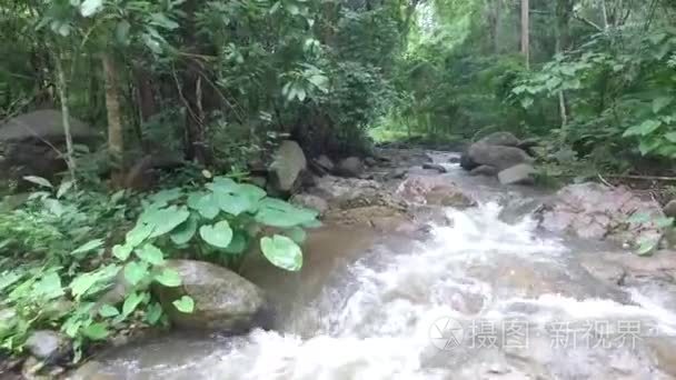 在丛林航拍录像中河视频