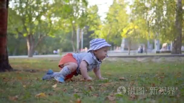 在巴拿马在公园的草地上爬行的婴儿。相机飞来飞去。替身