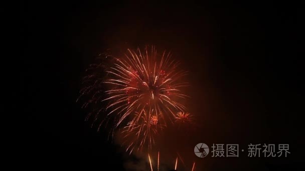 炫彩烟花在夜空中视频