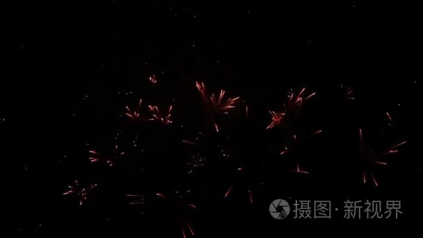 炫彩烟花在夜空中视频