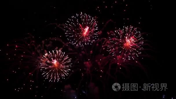 炫彩烟花在夜空中视频