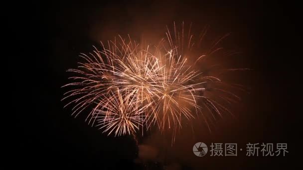 炫彩烟花在夜空中视频