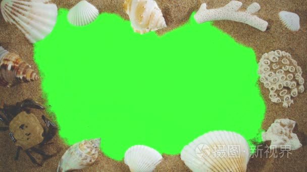 贝壳和沙子在绿色屏幕上视频