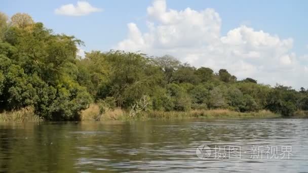 乌干达河尼罗河沿岸视频