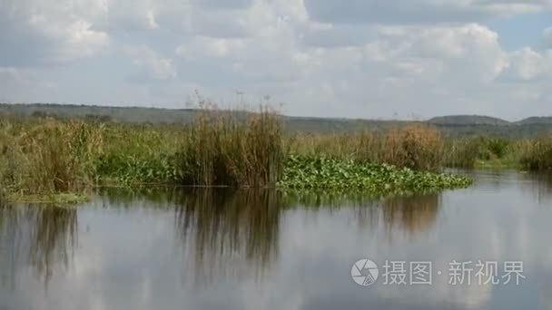 乌干达河尼罗河沿岸视频