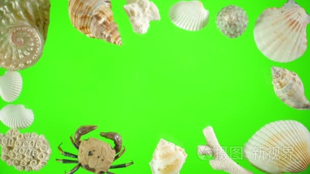 贝壳和沙子在绿色屏幕上视频