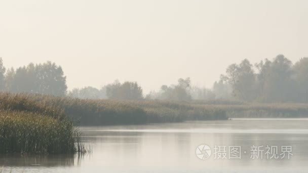 在美丽的日出晨烟