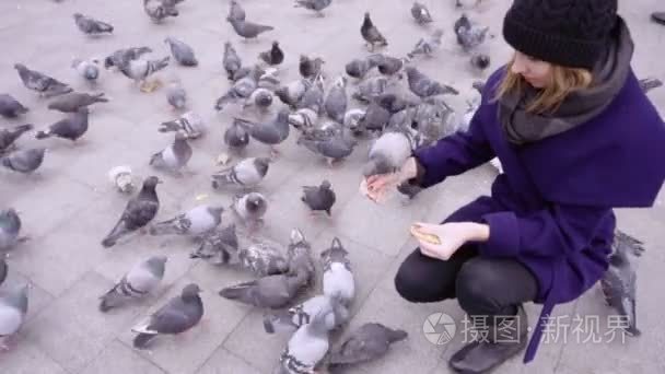 一个女人在广场喂鸽子视频