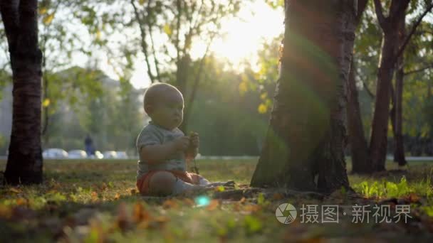 婴儿坐在树附近的草坪上，玩草。夕阳的光。秋天的公园