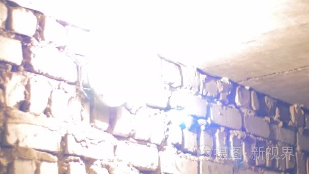灯丝灯泡照亮的石墙视频