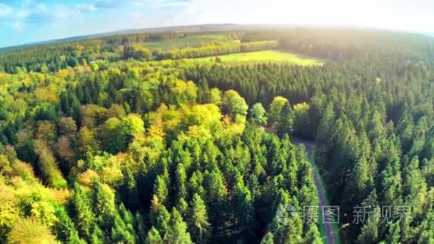 秋天的树林的鸟瞰图视频