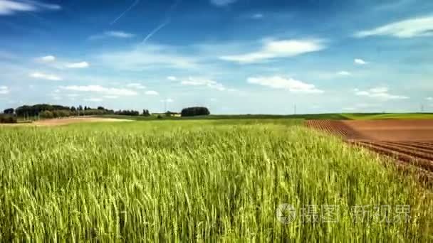 农业领域的全景视图视频