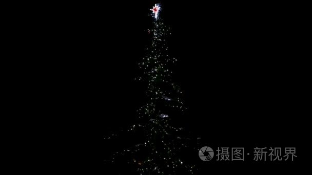 闪闪发光的圣诞树视频