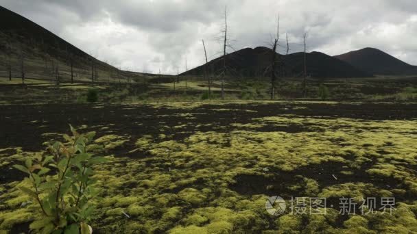 枯林附近火山素材视频