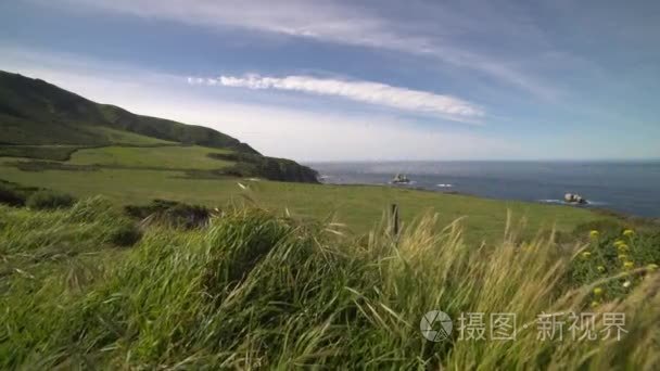 大苏尔繁茂的海岸线一起重机枪视频