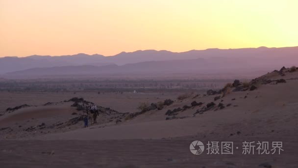 在摩洛哥的骆驼之旅视频