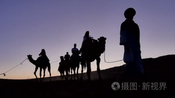 柏柏尔营地骑骆驼到达旅游集团视频