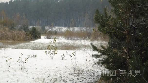 秋天的第一场雪视频