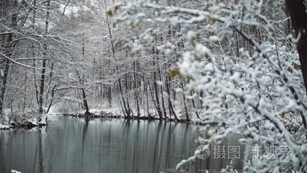 秋天的第一场雪视频