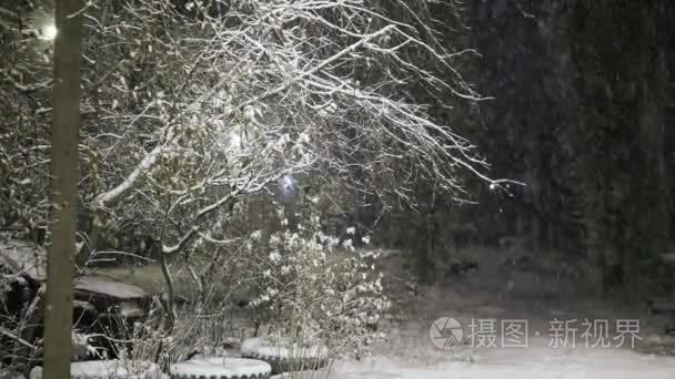 秋天的夜晚的第一场雪视频