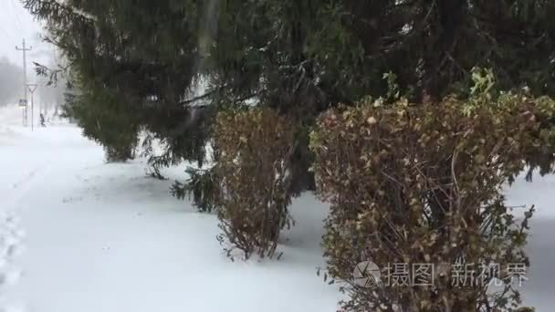 在暴风雪中秋天的天气异常视频