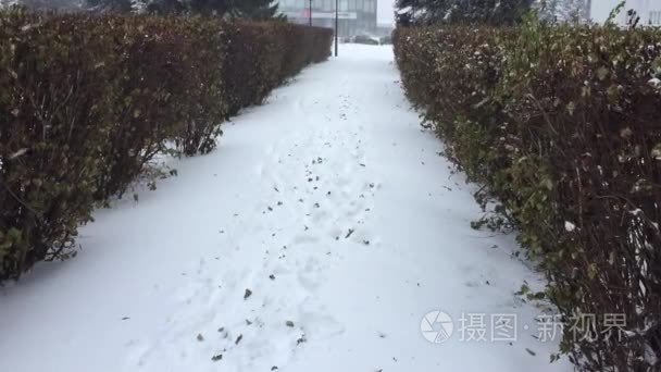 在暴风雪中秋天的天气异常视频