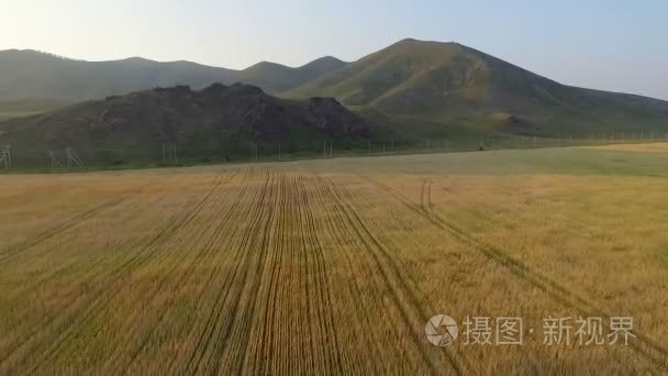 对山麦田上空飞行视频