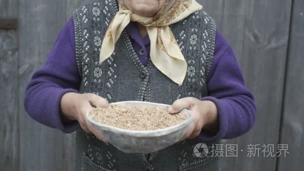 很老的微笑妇女端着碗的手 4 k 小麦粒的肖像短视频