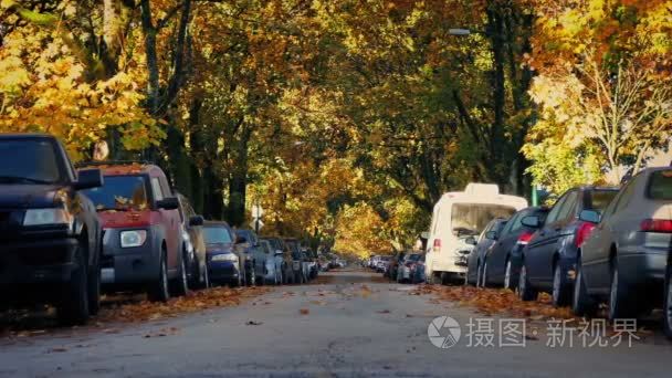 在秋天的绿叶郊区道路。