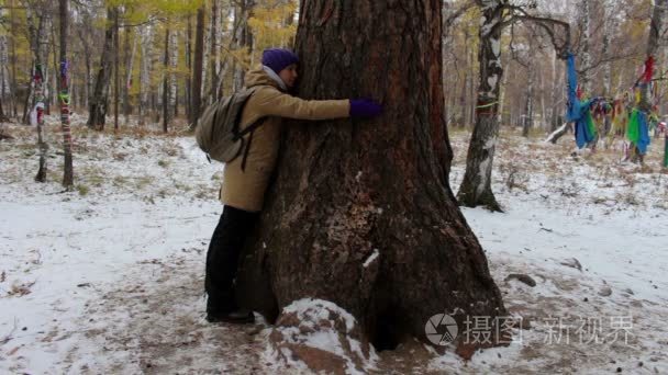 女孩在冬季森林中拥抱一棵大的老树