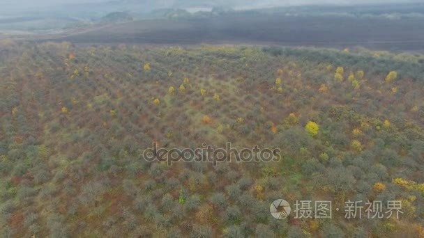 秋天的花园田野的航拍视频视频