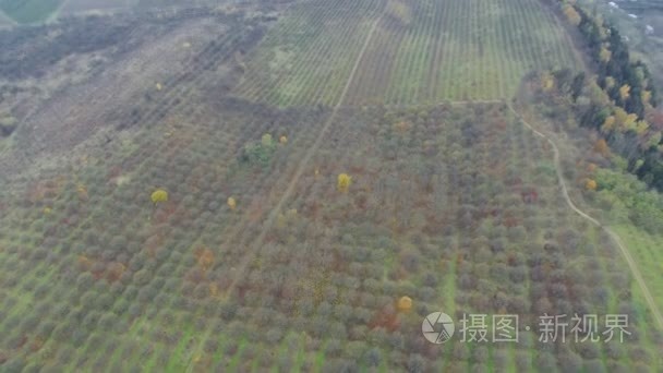 秋天的花园田野的航拍视频视频