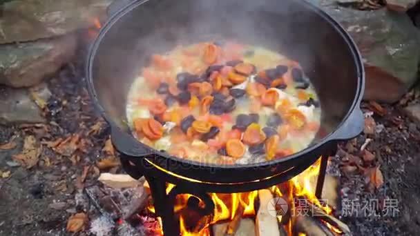 铸铁锅在火上烹饪肉视频