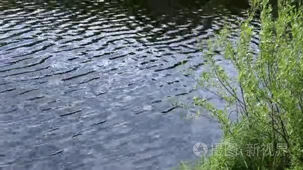 在夏天的粗糙水视频