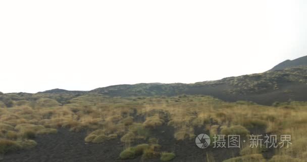 埃特纳火山侧火山口视频