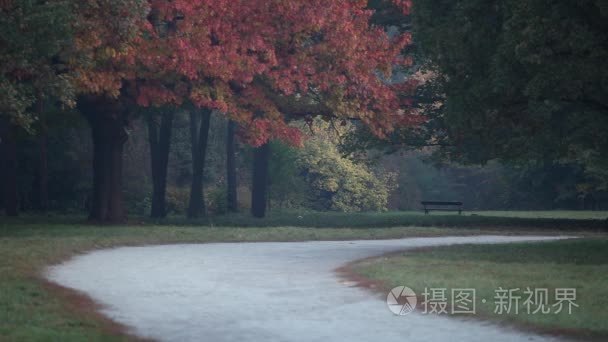 秋天在公园亚历山德里亚视频