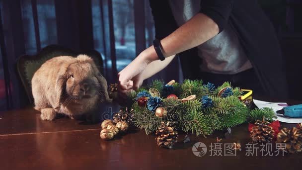 铺设出自然各种配料的花环的人视频