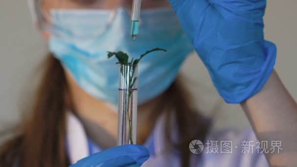 分析植物在试管中的女科学家视频