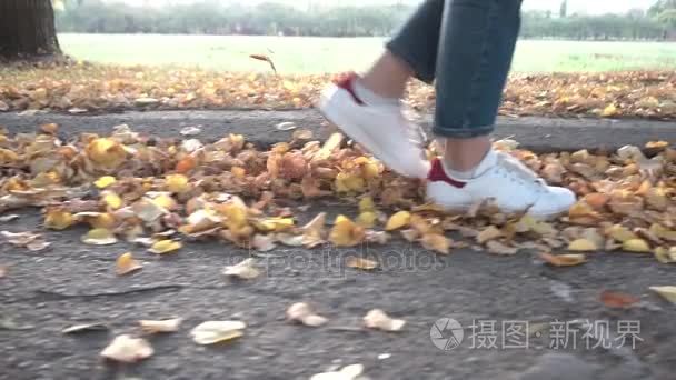 在秋天公园散步视频