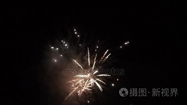 今年新年烟花在夜空上视频